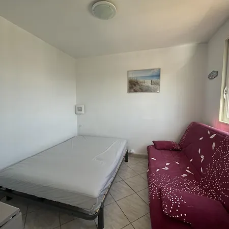 Apartamento Lumineux Face Avec Terrasse Et Parking, Proche Port Et Commerces, 4p - Fr-1-799-31 Le Barcarès